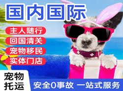 南充高坪航空物流国际宠物托运 【国